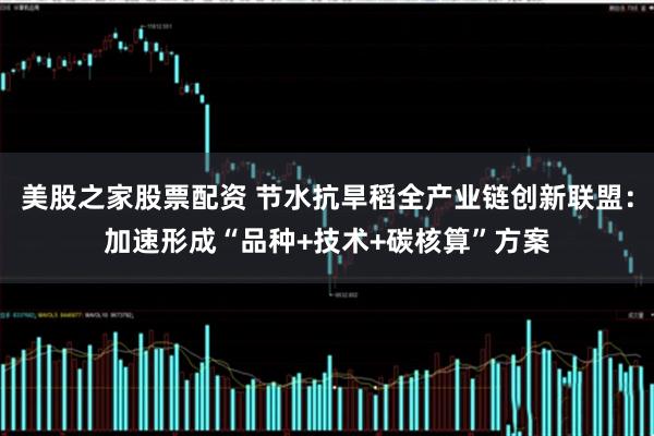 美股之家股票配资 节水抗旱稻全产业链创新联盟：加速形成“品种+技术+碳核算”方案