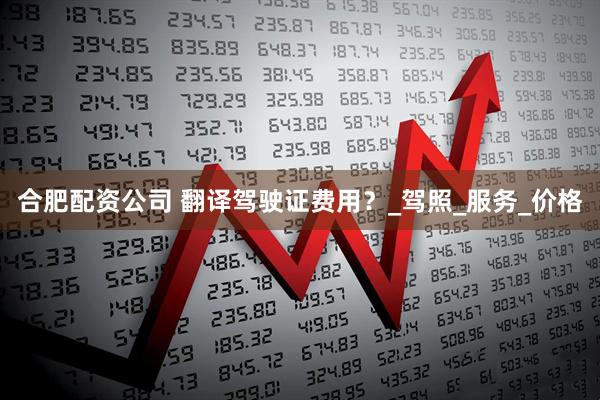 合肥配资公司 翻译驾驶证费用？_驾照_服务_价格