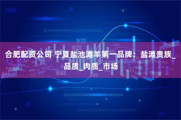 合肥配资公司 宁夏盐池滩羊第一品牌：盐滩贵族_品质_肉质_市场