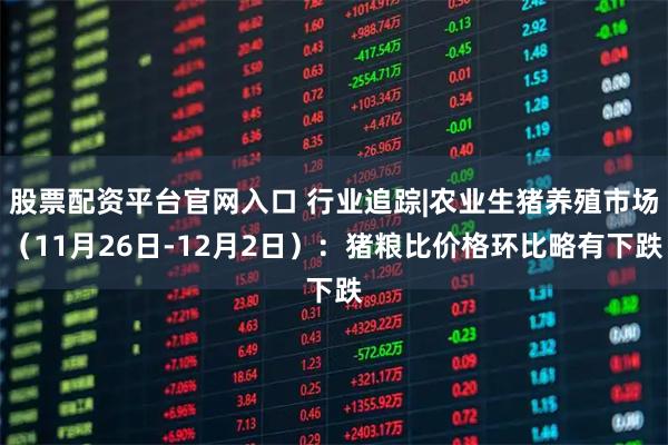 股票配资平台官网入口 行业追踪|农业生猪养殖市场（11月26日-12月2日）：猪粮比价格环比略有下跌