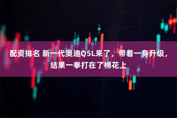 配资排名 新一代奥迪Q5L来了，带着一身升级，结果一拳打在了棉花上